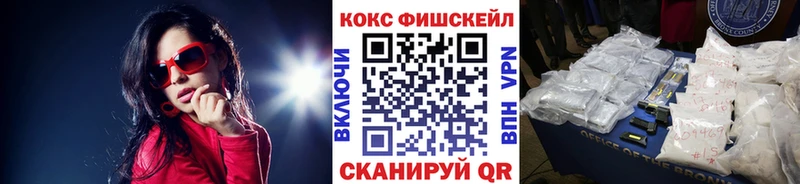 Кокаин FishScale  где продают   omg ссылки  Дзержинск 