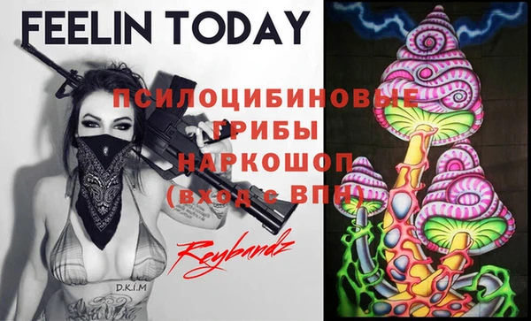ПСИЛОЦИБИНОВЫЕ ГРИБЫ Алзамай
