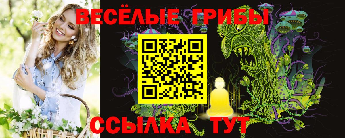 Галлюциногенные грибы Magic Shrooms  Вход с VPN  Псилоцибиновые грибы MAGIC MUSHROOMS  как найти закладки  Дзержинск 