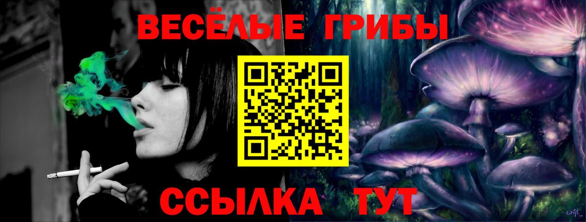 Галлюциногенные грибы Psilocybine cubensis Дзержинск